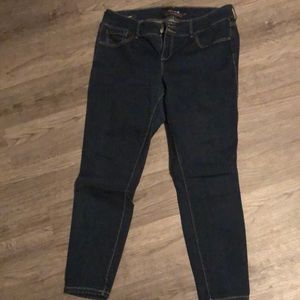 Size 16R Torrid Jeggings